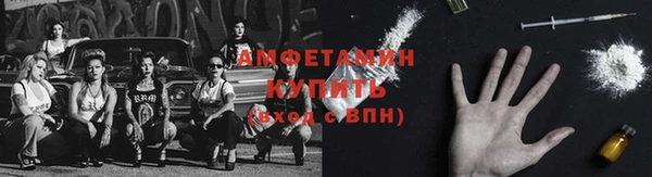 гашик Губаха