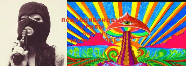 ПСИЛОЦИБИНОВЫЕ ГРИБЫ Алексеевка
