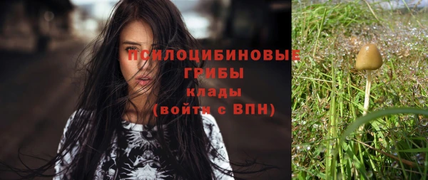 прущий лед Грязи